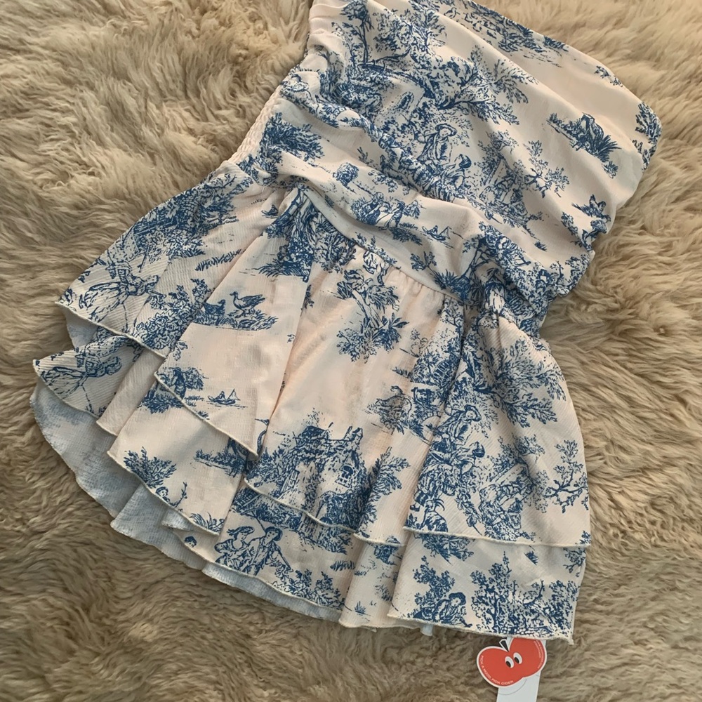 Cider dress nwt